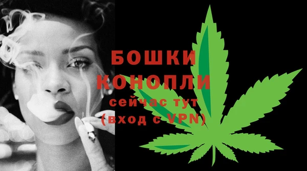 PSILOCYBIN Верея