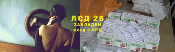 PSILOCYBIN Верхний Тагил