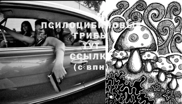 PSILOCYBIN Верея