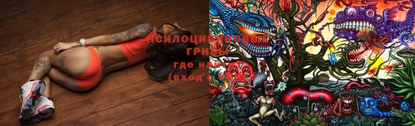 PSILOCYBIN Верхний Тагил