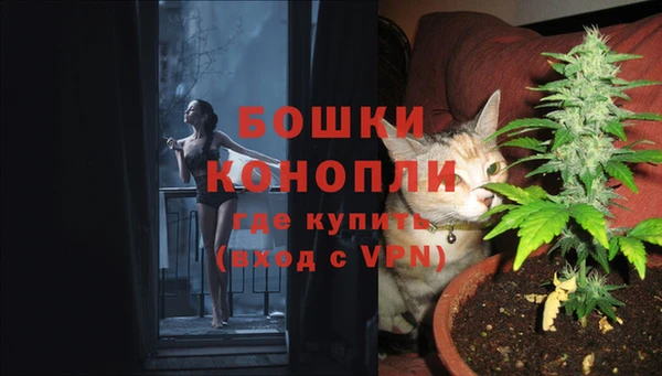 PSILOCYBIN Верея
