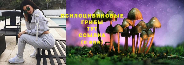 PSILOCYBIN Верхний Тагил