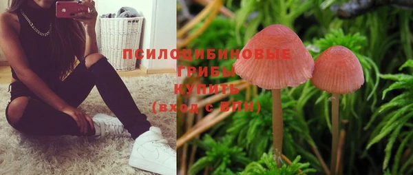 PSILOCYBIN Верея