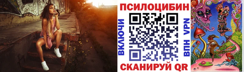 Купить закладки  Кизляр  Галлюциногенные грибы Psilocybine cubensis 
